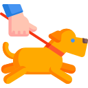 45 minute dog walk icon