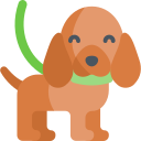 30 minute dog walk icon