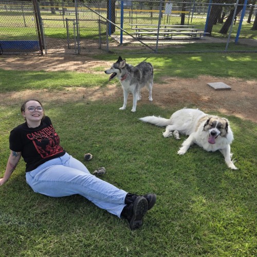Ciera B. Pet Sitter and Dog Walker